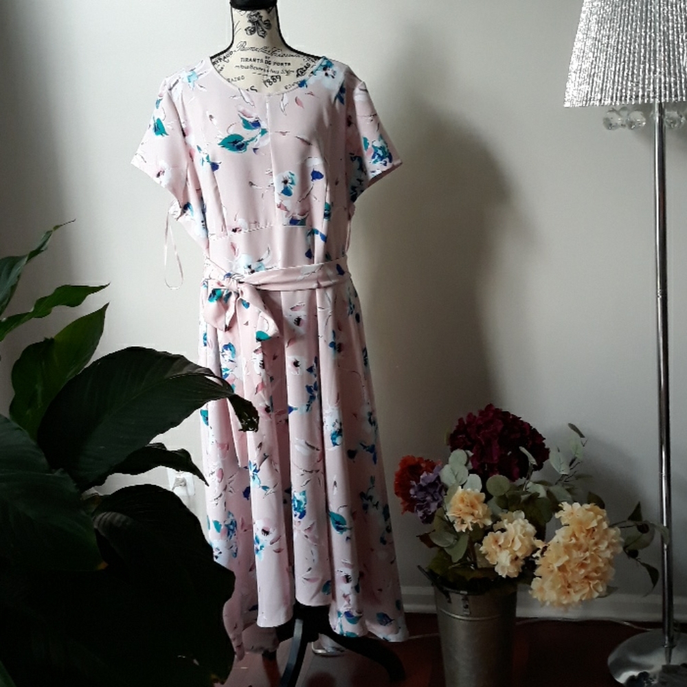 NWOT Beautiful dress